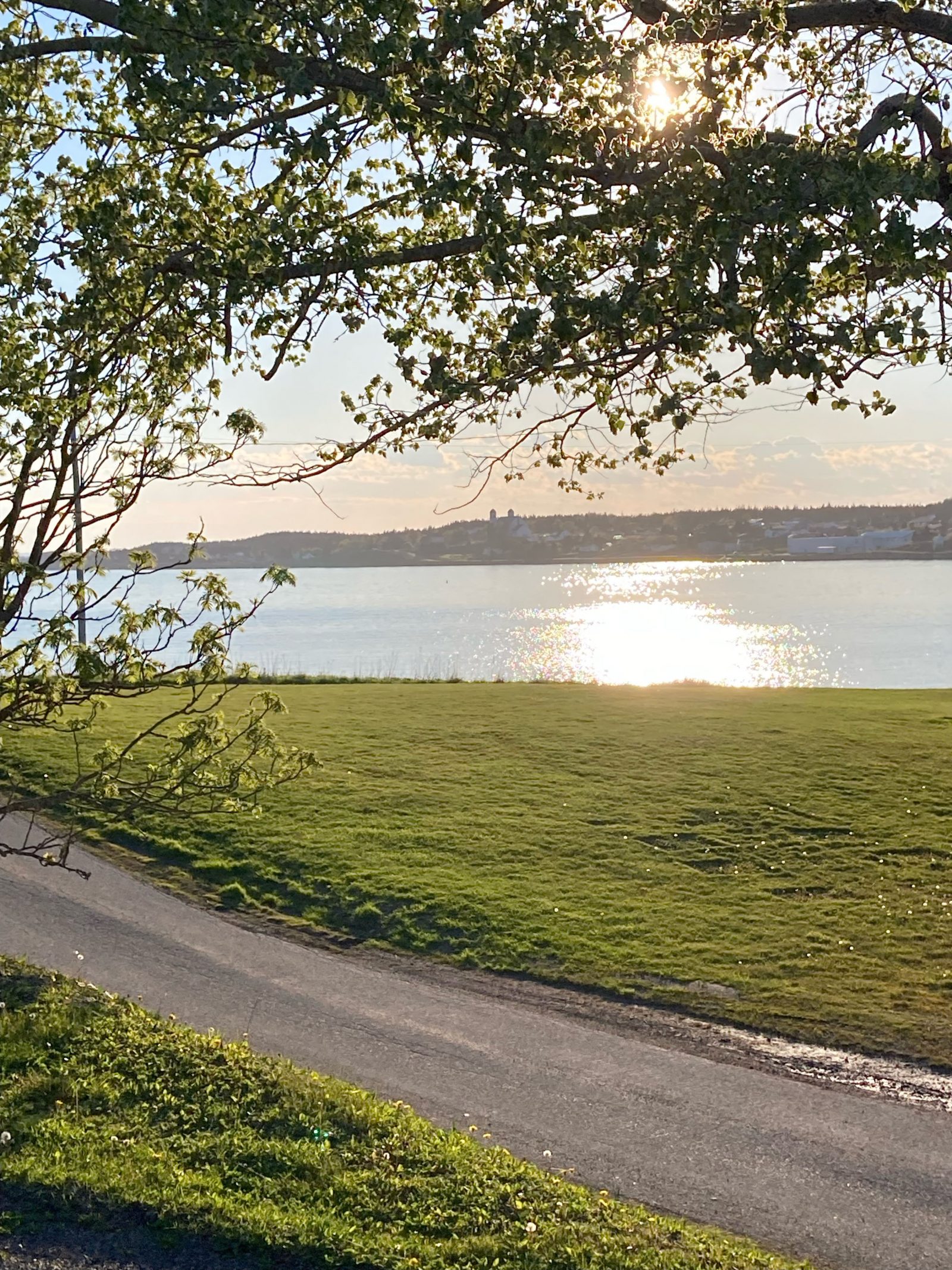 Sunset over the water near Arichat